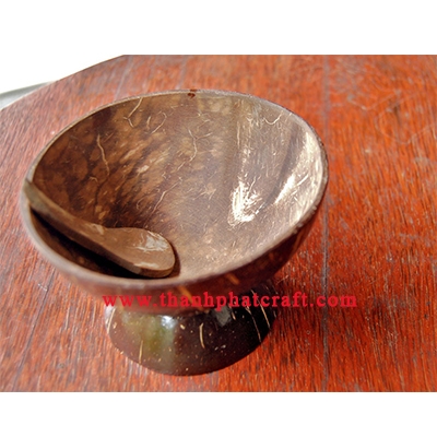 coconut shell bowl