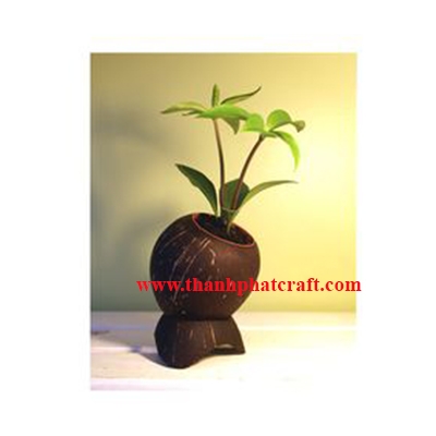 coconut shell flowerpot