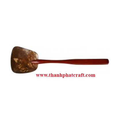 Coconut shell spoon