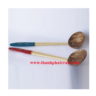 Coconut shell spoon