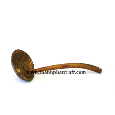 Coconut shell spoon