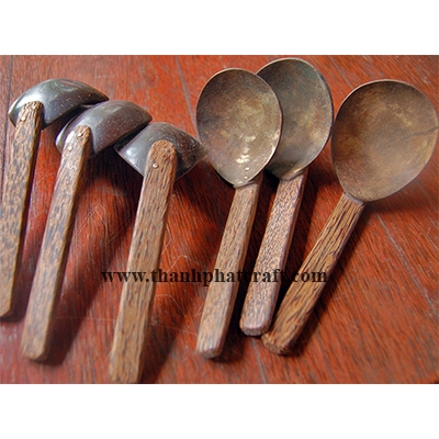 Coconut shell spoon