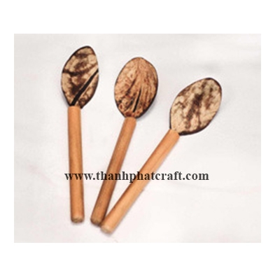 Coconut shell spoon