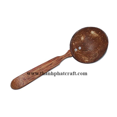 Coconut shell spoon