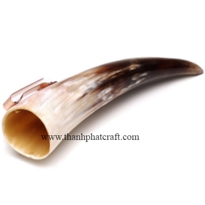 Cow Horn