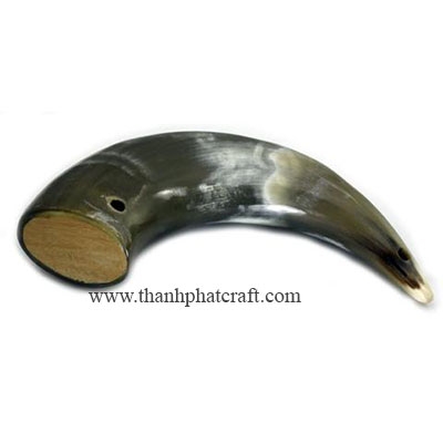 Cow Horn