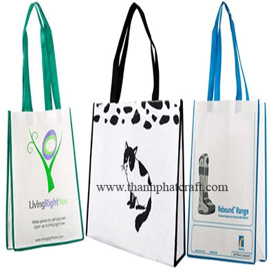 Non Woven Fabric Bag