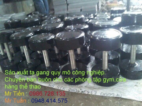 Tạ tay gang đúc liền khối tay đòn inox dành cho phòng gym