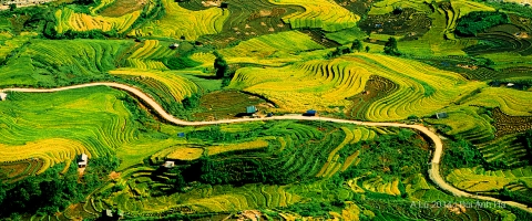 Hà Nội - Sapa -  Lũng Pô - Y Tý - Mường Hum – Sapa - Hà Nội  3 ngày 2 đêm