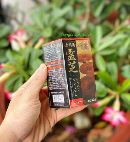 Nấm Linh Chi Sừng Hươu Natural Deer Horn Reishi (240 Viên) - MADE IN JAPAN.