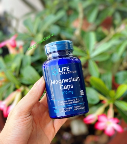 Life Extension Magnesium Caps 500 mg (100v) - MADE IN USA.