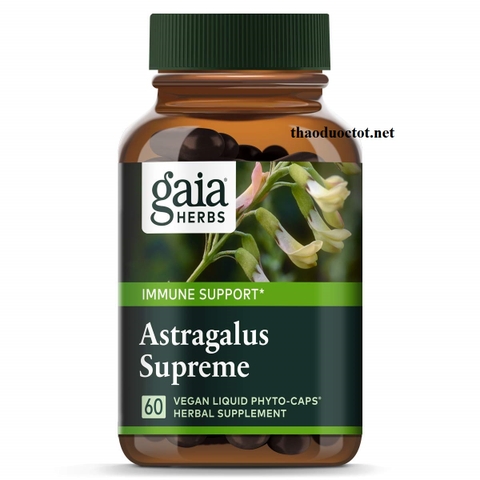 Hoàng Kỳ - Atragalus Gaia, Bổ trung khí, bổ tỳ