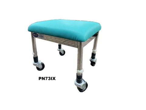 PN73IX - Ghế ngồi tập VLTL inox có bánh xe