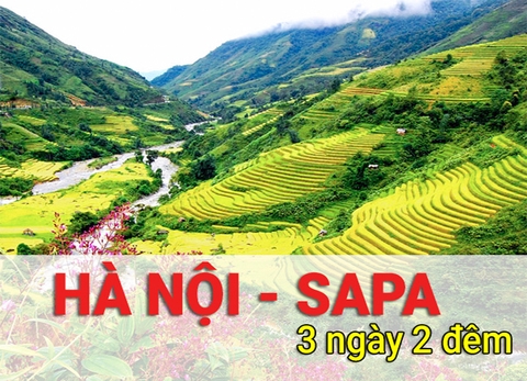 Tour Du Lịch Hà Nội Sapa 3 Ngày 2 Đêm