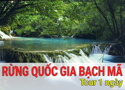 Du Lịch Khám Phá Rừng Quốc Gia Bạch Mã 1 Ngày