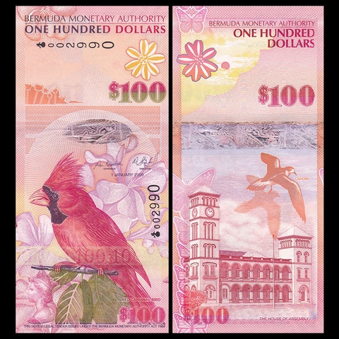 100 dollars Bermuda 2009