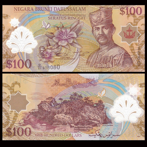 100 ringgit Brunei 2013