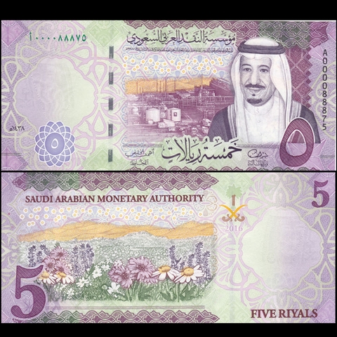 5 riyals Saudi Arabia 2016