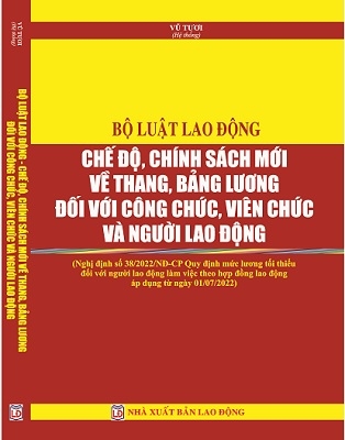 Sách Bộ Luật Lao Động - Chế Độ, Chính Sách Mới Về Thang, Bảng Lương Đối Với Công Chức, Viên Chức, Người Lao Động.