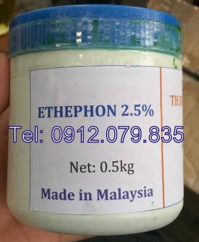BÁN ETHEPHON-THUỐC ĐIỀU KHIỂN RA HOA