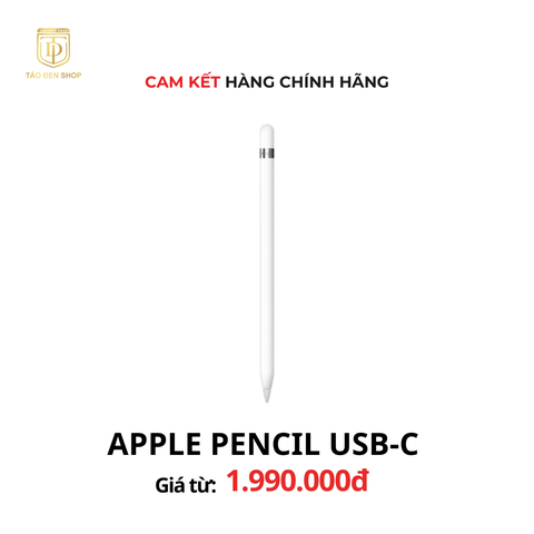 Apple Pencil ( USB-C )