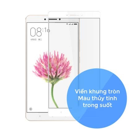 Miếng dán màn hình Xiaomi Max