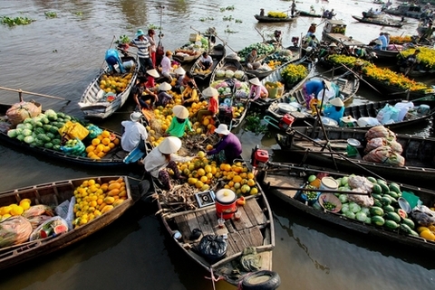 Tour miền tây thăm quan Đồng Bằng Sông Cửu Long