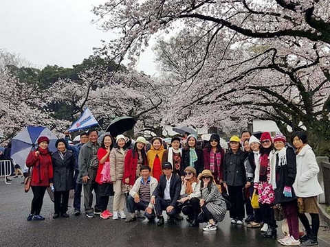 Khám phá cung đường vàng Nhật Bản 2017