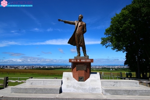 Du lịch Hokkaido ngắm hoa Lavender