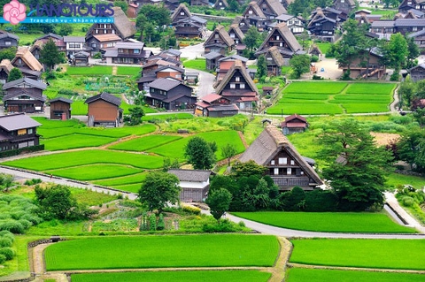 Lạc vào xứ sở hoa anh đào Nhật Bản: Osaka - Kyoto - Nagoya - Shirakawago - Phú Sỹ - Tokyo