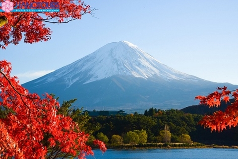 Khám phá mùa thu vàng Nhật Bản: Tokyo - Fuji - Nagoya - Gifu Shirakawago