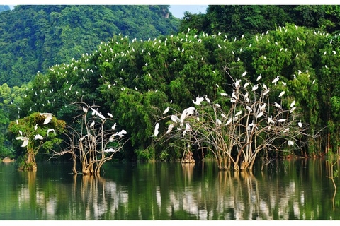 Tour du lịch Hoa Lư Thung - Nham 1 ngày