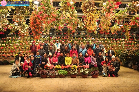 Du lịch Nhật Bản cung đường Vàng: Tokyo - Yokohama - Fuji - Kyoto - Osaka