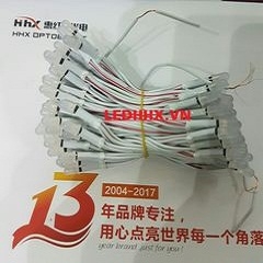 LED LIỀN DÂY