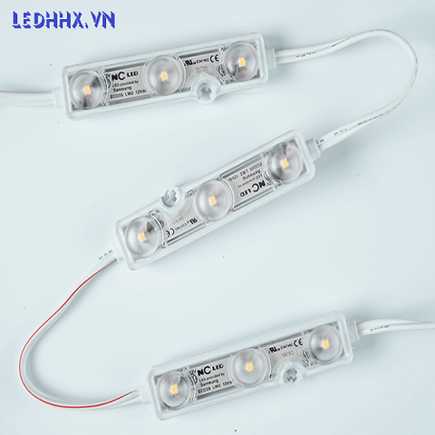 Module 3 LED Korea