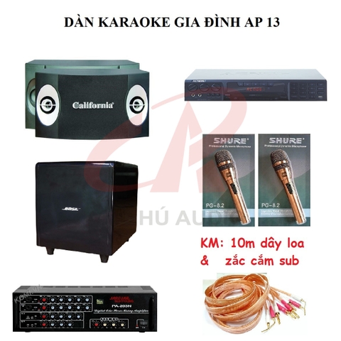 DÀN KARAOKE GIA ĐÌNH AP 13