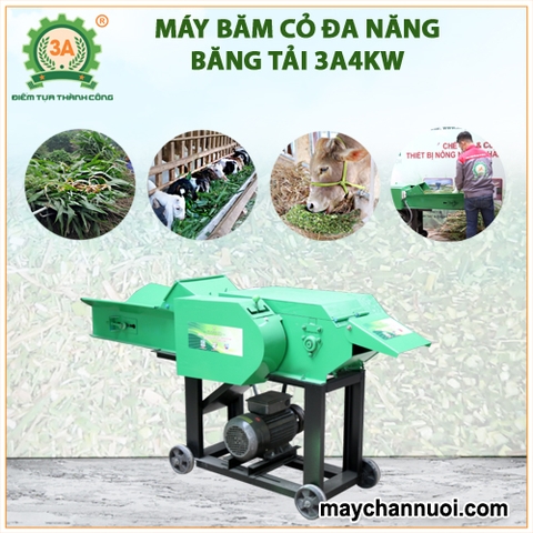 Máy băm cỏ đa năng 3A4Kw (băng tải)