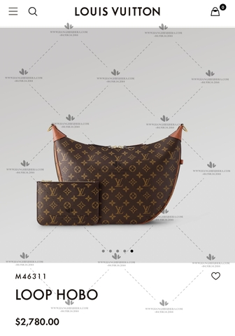 LV LOOP HOBO M46311 - LIKE AUTH 99%