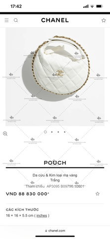 CHANEL POUCH AP3095 SIZE 16