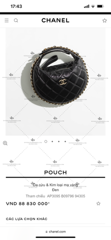 CHANEL POUCH AP3095 SIZE 16