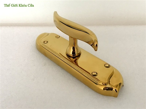 Clemon Đồng Cao Cấp Gold SSA CR-06 PVD