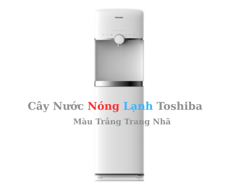 ĐỐI TÁC TIN CẬY CUNG CẤP CÂY NƯỚC NÓNG LẠNH CHO VĂN PHÒNG, CÔNG TY