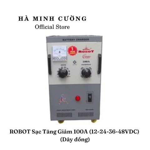Sạc Tăng Giảm Robot 100A (12V-24V-36V-48V)-Dây Đồng
