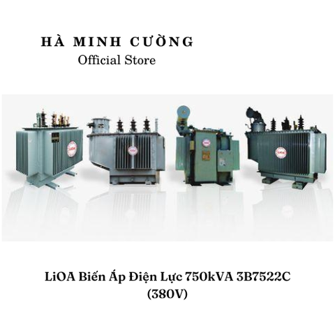 Biến Áp Điện Lực LiOA 3B7522C