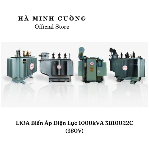 Biến Áp Điện Lực LiOA 3B10022C