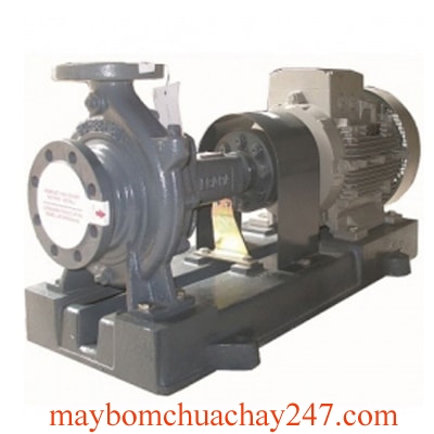 Máy