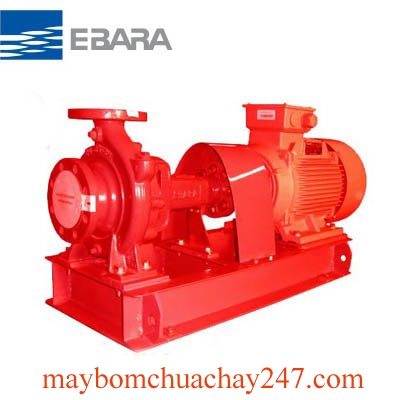 Máy