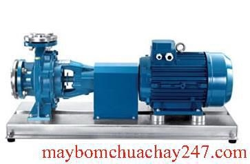 Máy