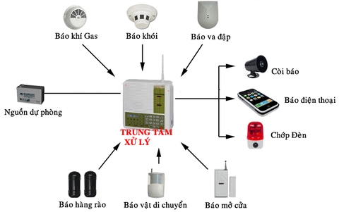 http://bizweb.dktcdn.net/thumb/large/100/135/526/files/diem-khac-nhau-giua-he-thong-bao-chay-thuong-va-bao-chay-dia-chi.jpg?v=1487909615180