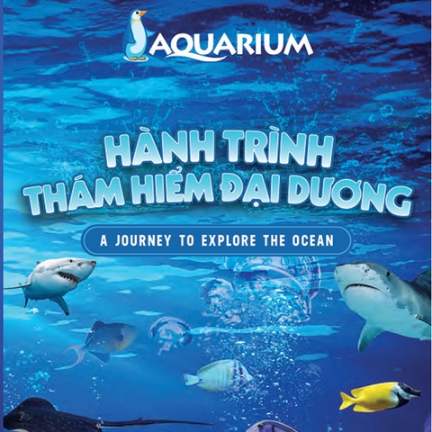 Thủy cung Time city VinKE Aquarium Hà Nội